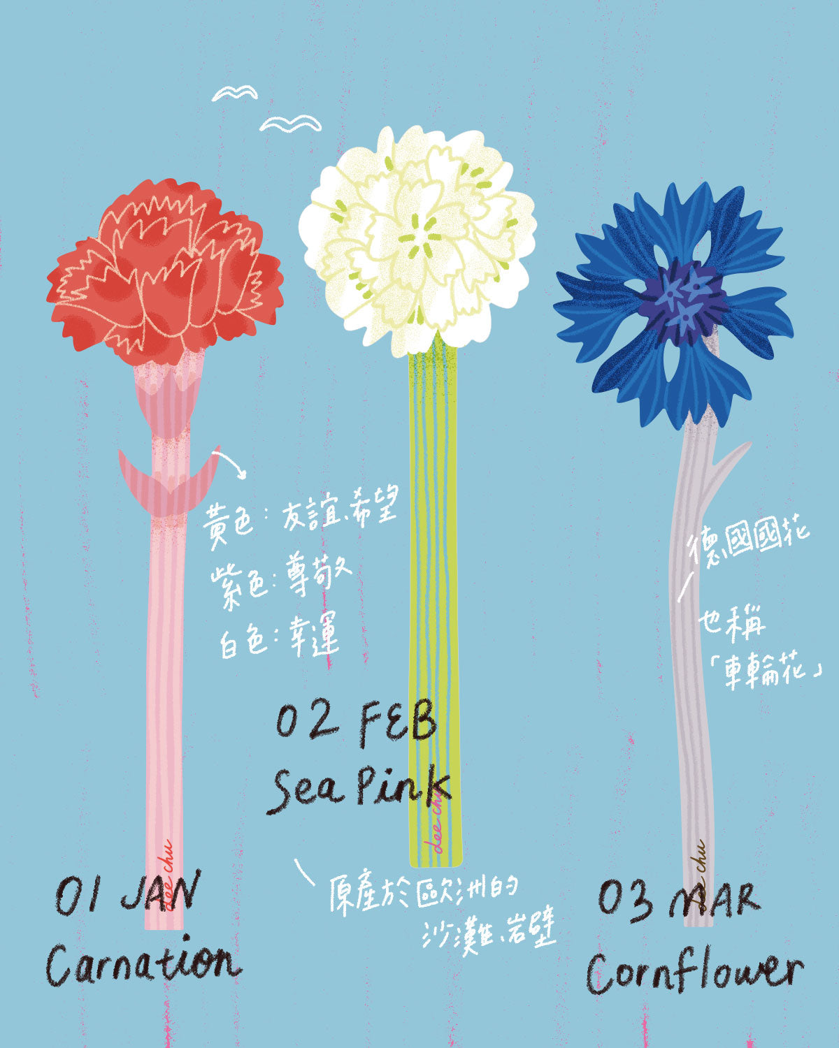 插花材料（單隻售）｜生日月花