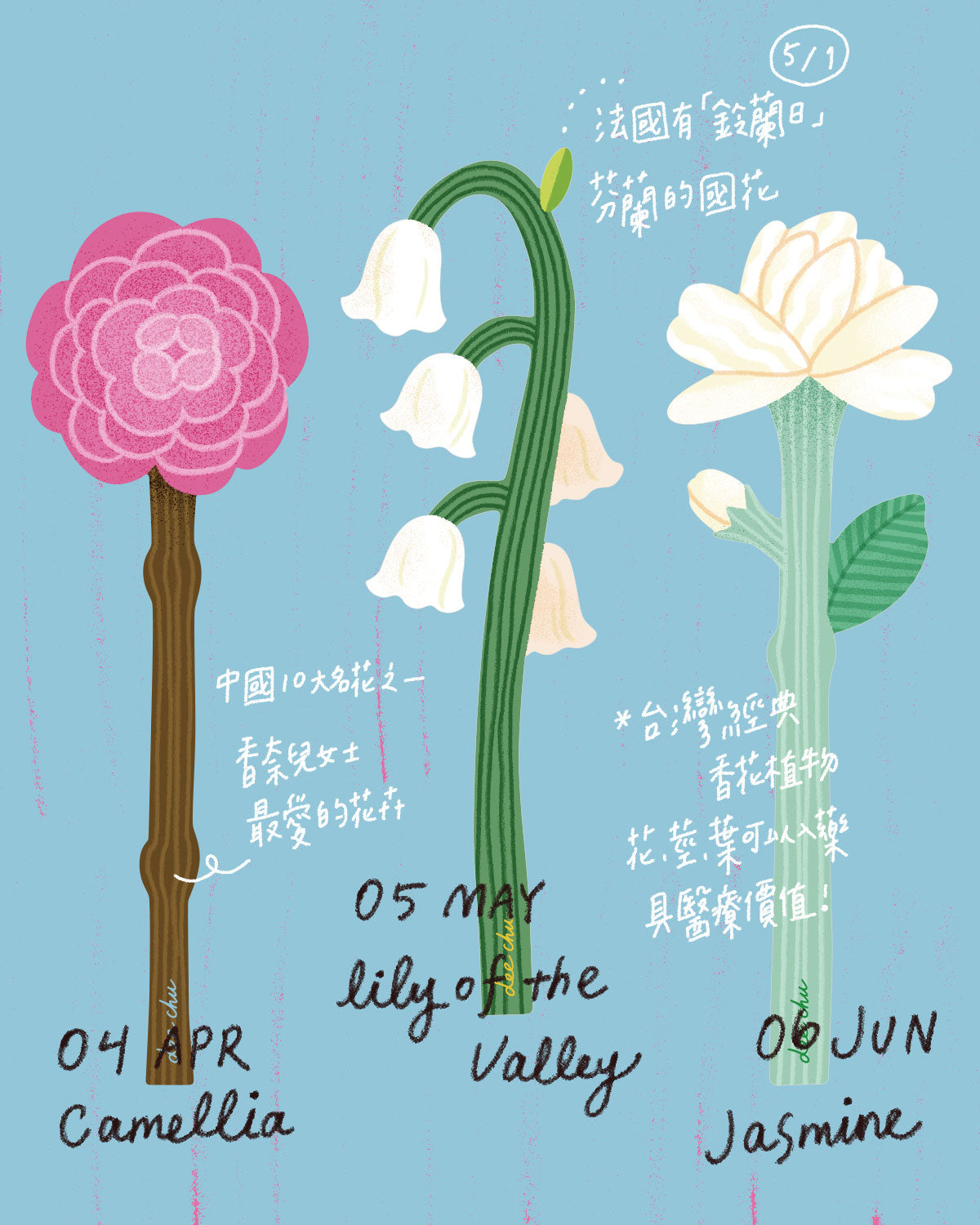 插花材料（單隻售）｜生日月花