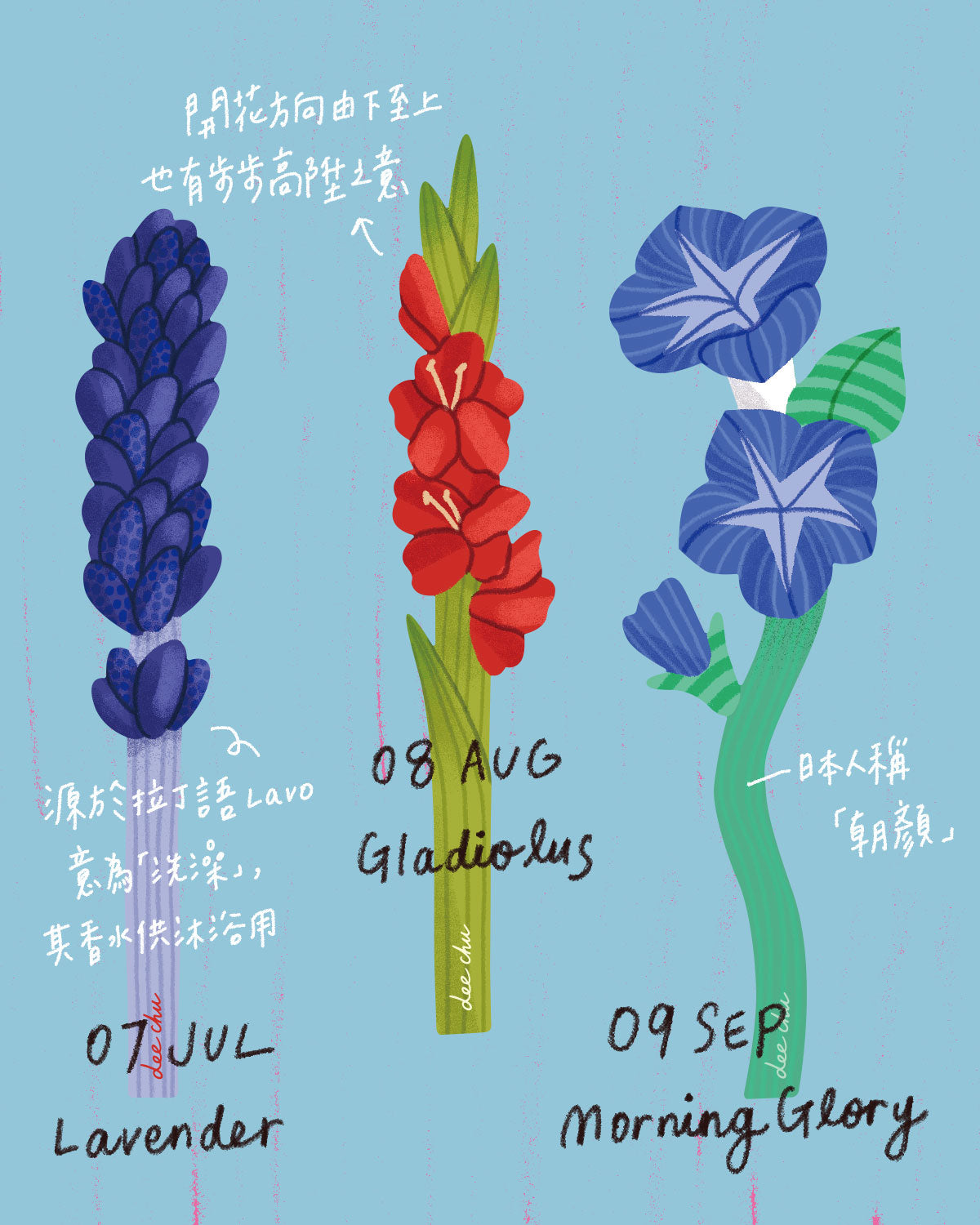 插花材料（單隻售）｜生日月花