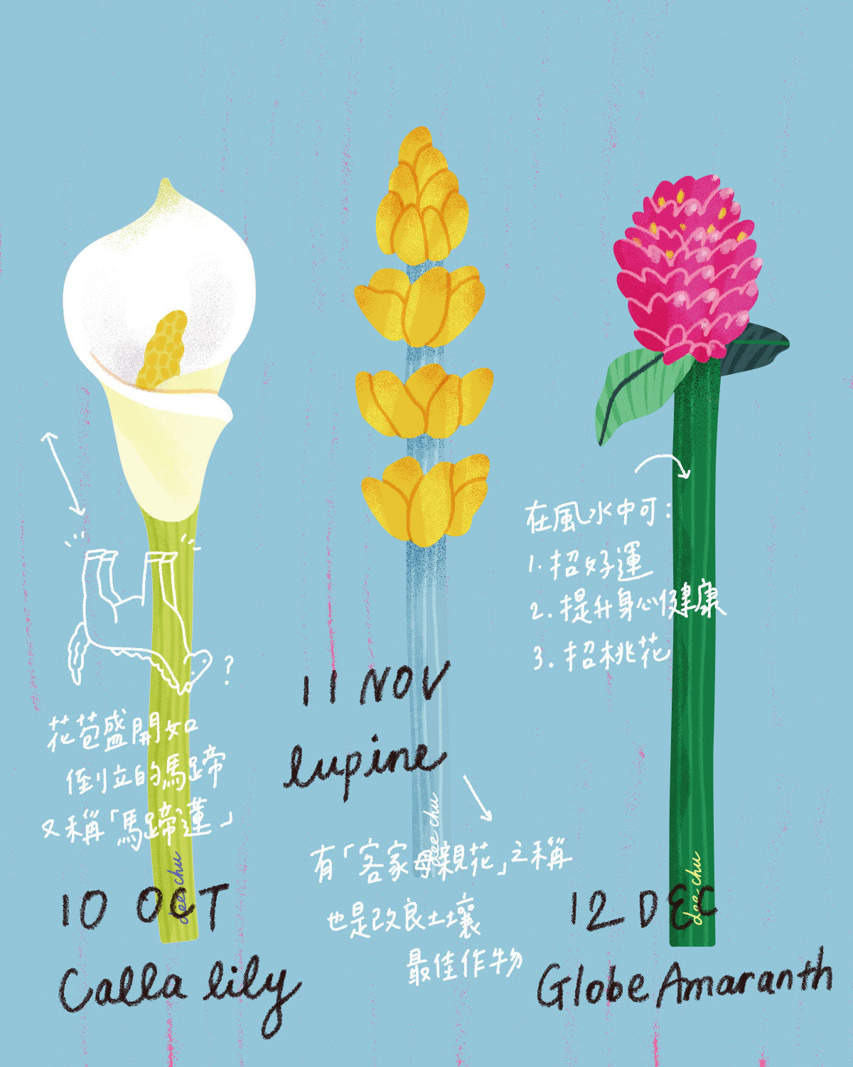 Flower Arrangement Materials (Sold Individually) | Birthday and Month Flowers