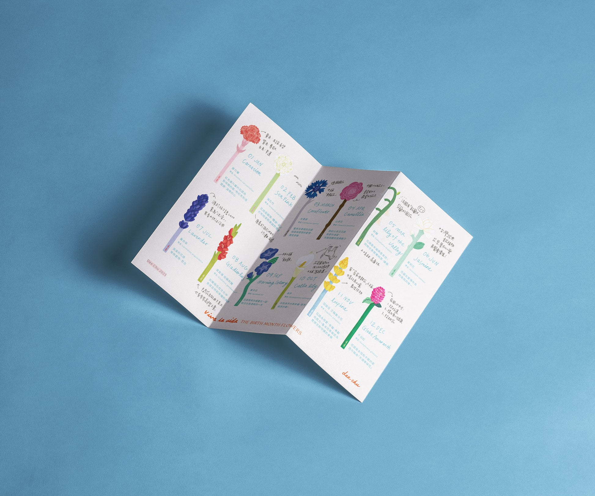 插花材料(單隻售)|生日月花