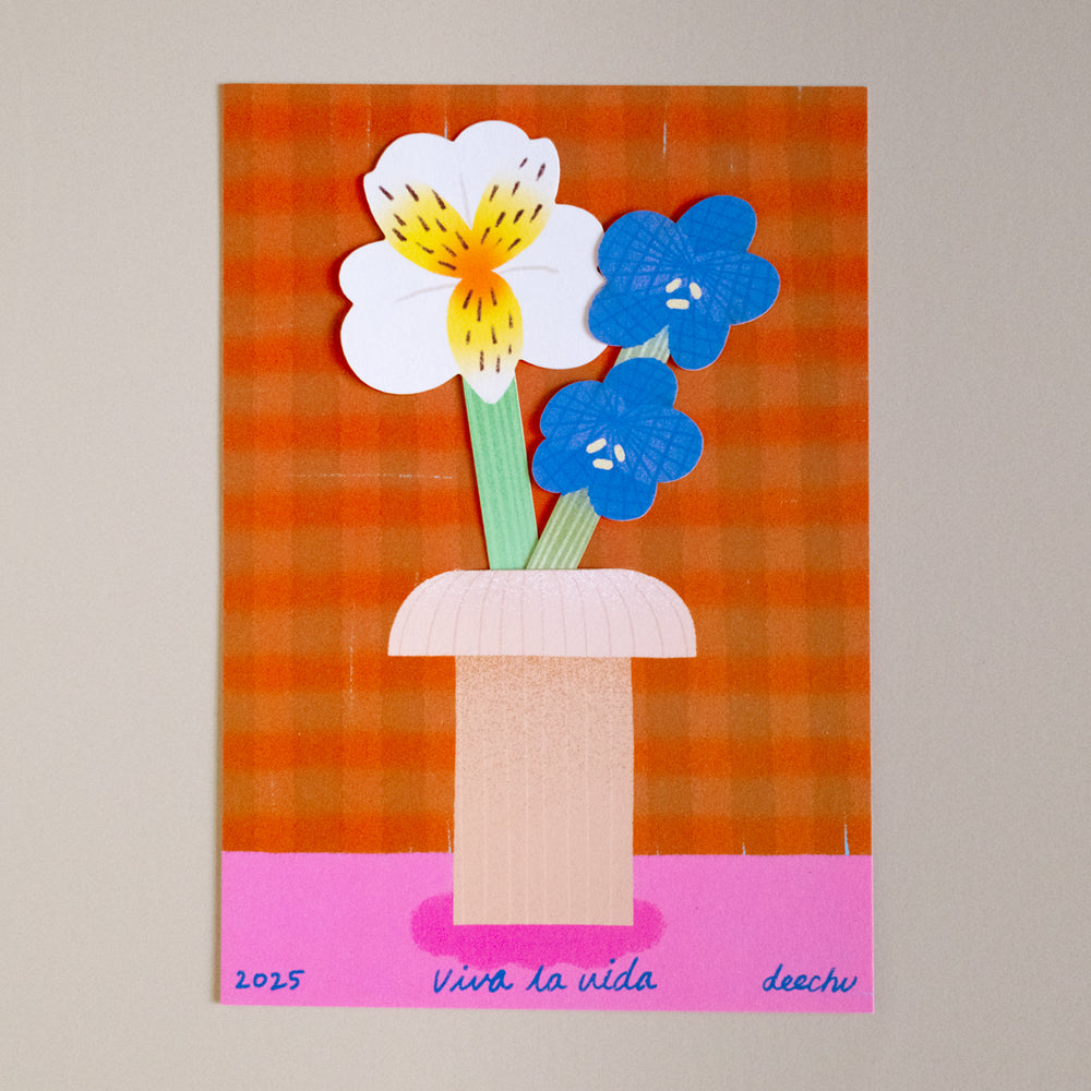 插花明信片|老朋友