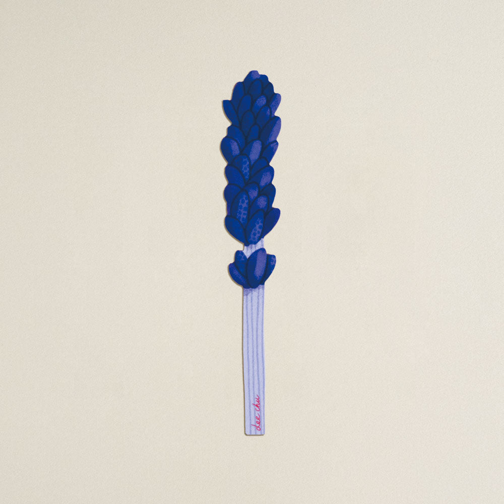 插花材料(單隻售)|生日月花